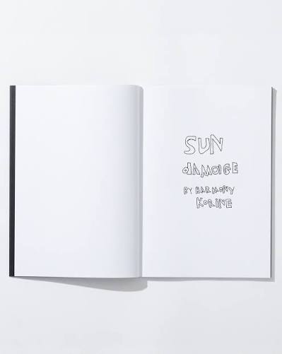 Supreme Sun Damage Book By Harmony Korine