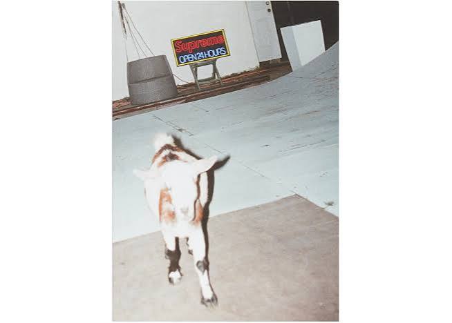 Supreme Sun Damage Book By Harmony Korine